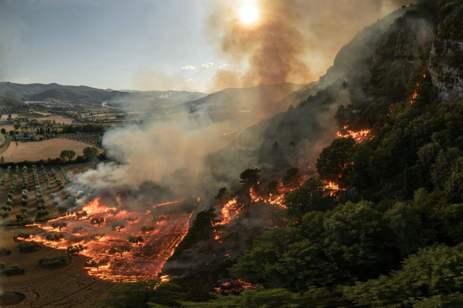 Incendio boschivo che avanza attraverso bosco e uliveti verso un paese di fondovalle, con una colonna di fumo che si leva sopra il crinale